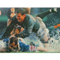 1995 World Cup - James Small - Springbok Rugby Hardboard Image