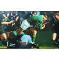 1995 World Cup Final - Mark Andrews - Springbok Rugby Framed Image