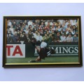 1995 World Cup Final - Chester Williams - Springbok Rugby Framed Image
