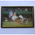 1995 World Cup - Joel Stransky - Springbok Rugby Framed Image