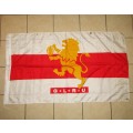 Large Old Golden Lions Rugby Flag