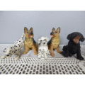 A WONDERFUL COLLECTION OF 5 FIGURINES OF PUPPIES, VERY PRETTY TO HAVE ON DISPLAY!!Bid/dog