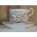 AN AWESOME ROYAL STANDARD "MANDARIN" PATTERN FINE BONE CHINA CUP AND SAUCER DUO