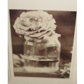 A MAGNIFICENTLY FRAMED BLACK AND WHITE PHOTOGRAPH PRINT OF A SINGLE ROSE IN A JAR = FANTASTIC!!!!