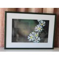 A BEAUTIFULLY APPOINTED SIGNED & FRAMED "ABSTRACT" LTD EDITION COLOUR BOTANICAL PHOTOGRAPH PRINT