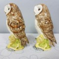 Rare Royal Doulton "Whyte & Mackay Scotch Whiskey Barn Owl porcelain decanter - sealed! Only 1 left!