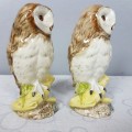 Rare Royal Doulton "Whyte & Mackay Scotch Whiskey Barn Owl porcelain decanter - sealed! Only 1 left!