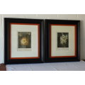 Two stunning botanical framed prints by Robert John Thornton in spectacular condition bid/print