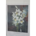 Two stunning botanical framed prints by Robert John Thornton in spectacular condition bid/print RS17