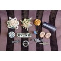 A beautiful collection of assorted ladies brooches, buckles, earrings and more