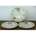Three vintage Royal Doulton "Old Leeds Sprays" (D6203) porcelain dinner plates