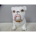 A gorgeous hand painted ceramic bulldog with stunning detailing!! Lovely on display!!