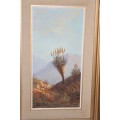 An original Jacobi oil on board painting of African Aloe in the mountains of Northern Transvaal