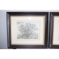 Two exquisitely framed (behind glass) J.G. Strutt titled etching prints - price/print