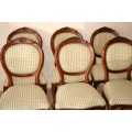 8x magnificent solid mahogany dining chairs incl. 2x carvers & 6x comfortable chairs - price/chair