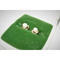 An elegant pair of 9ct yellow gold ladies earrings with genuine white "Akoya" cultured pearls