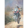 An amazing original signed Charl Moller framed painting of a motorcyclist - amazing art - RS17AB