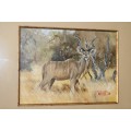 An amazing original signed "Gerhard Smit" framed painting of a Kudu - stunning art - RS17AB