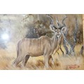 An amazing original signed "Gerhard Smit" framed painting of a Kudu - stunning art - RS17AB