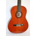 An awesome Valencia CG160 nylon string guitar with loads of accessories - perfect beginner kit!