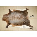 **RS17** An awesome (1,4m x 1,1m) genuine Blesbok skin/ hide mat in great condition