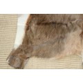 **RS17** A fantastic (1,4m x 1m) genuine Blesbok skin/ hide mat in great condition