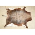 **RS17** An awesome (1,3m x 1m) genuine Blesbok skin/ hide mat in great condition