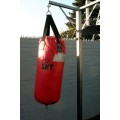 A well made steel boxing stand with a "SNT" punching bag and an "Everlast" speed bag = for home use!