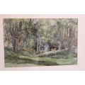 **RS17** A beautiful vintage signed "Forest Scene" watercolour painting framed behind glass