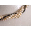 **RS17** A pretty 5-strand (4 white & 1 black) ladies cultured pearl necklace with a 14ct gold clasp