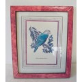 **RS17**Four gorgeous framed behind glass prints of parrots and a cockatoo.