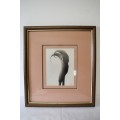 **RS17** 3 fantastic vintage prints framed behind glass of Lilies. Stunning in all areas. Bid/print