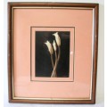 **RS17** 2 vintage signed prints framed behind glass of Lilies. Stunning in all areas. Bid/price