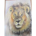 A fabulous large "Lion" print in a gorgeous frame - Impressive!!! Lifespace Sale