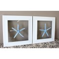 A fabulous set of real "Starfish" on a glass panel in a white frame. Stunning in all homes!!