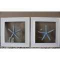 A fabulous set of real "Starfish" on a glass panel in a white frame. Stunning in all homes!!