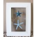 An awesome real "Starfish" on a glass panel in a white frame. Stunning in all homes!!