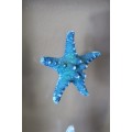 An awesome real "Starfish" on a glass panel in a white frame. Stunning in all homes!!