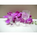 A collection of 8 mixed clear glasses, perfect on a table-Lifespace Sale