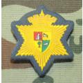 SAP - Rubberised Badge