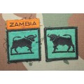 Zambia Army Badge Pair