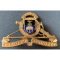 SADF - University of Cape Town Regiment Cap Badge