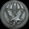 SADF - Parachute Battalion Challange Coin - Numbered