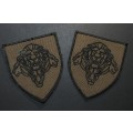 SA Army Shoulder Badge Pair