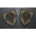 SA Army Shoulder Badge Pair