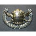 SADF - Navy Mine Counter Measure Breast Badge