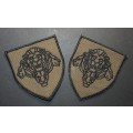 SA Army - Pride of the Nation Nutria Patches