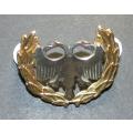 SADF - Air Force Protection Breast Badge