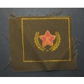 SADF - Voluntary Service Breasdt Badge