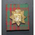 United Kingdom - Surrey Collar Badge